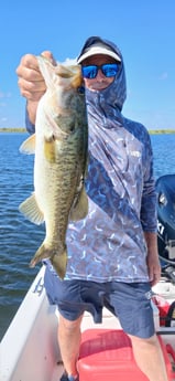 Fishing in Sebastian, Florida