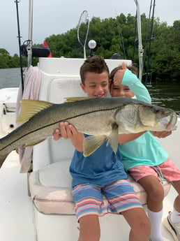 Snook fishing in Sarasota, Florida