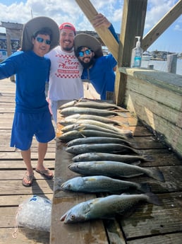 Speckled Trout Fishing in Galveston, Texas