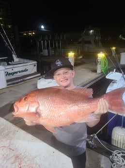 Red Snapper fishing in Orange Beach, Alabama