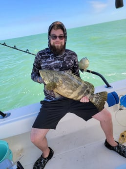 Goliath Grouper Fishing in Islamorada, Florida