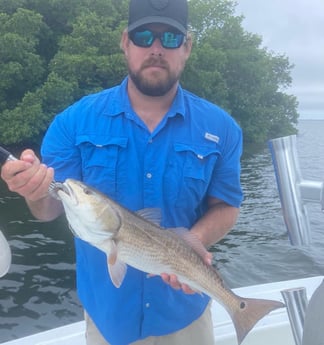 Redfish fishing in Fort Myers, Florida