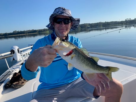 Largemouth Bass Fishing in Clearwater, Florida