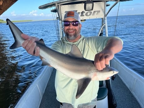 Blacktip Shark Fishing in New Orleans, Louisiana