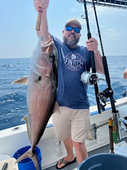 Amberjack Fishing in Destin, Florida