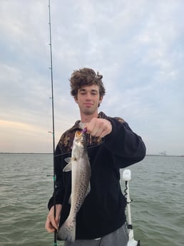 Speckled Trout Fishing in Galveston, Texas