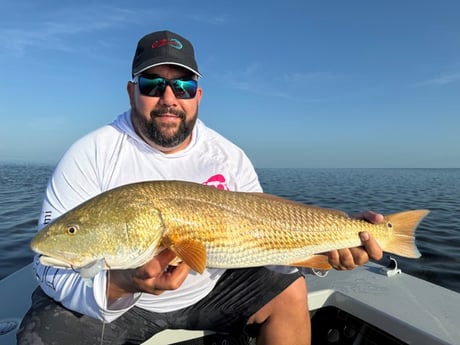 Fishing in Miami, Florida