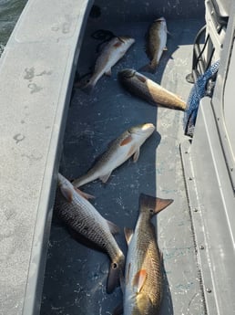 Fishing in Aransas Pass, Texas