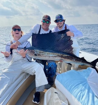 Sailfish Fishing in Clearwater, Florida