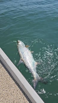 Fishing in Port O&#039;Connor, Texas