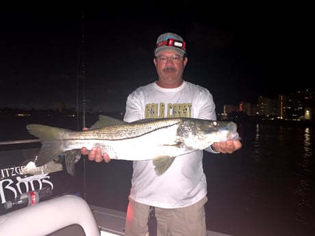 Snook Fishing in Fort Lauderdale, Florida