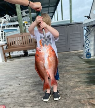 Red Snapper Fishing in Destin, Florida