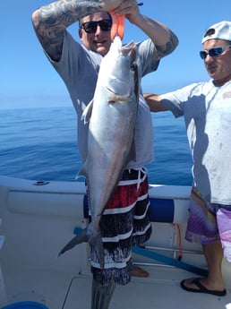 Red Snapper fishing in Clearwater, Florida