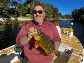 Fishing in Miami, Florida