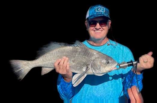 Black Drum Fishing in Key Largo, Florida