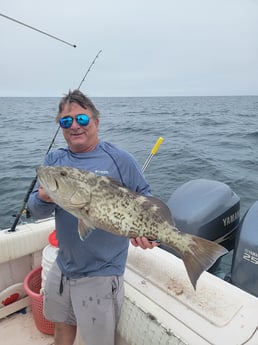 Gag Grouper fishing in Clearwater, Florida