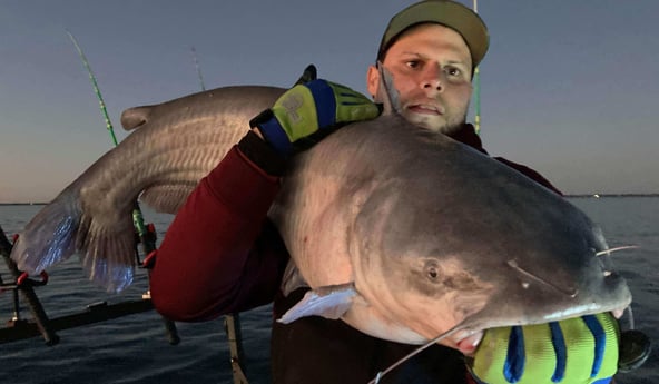 Blue Catfish fishing in Dallas, Texas