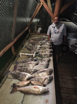 Black Drum, Redfish Fishing in Port Isabel, Texas