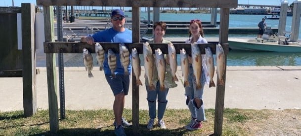 Black Drum fishing in Aransas Pass, Texas