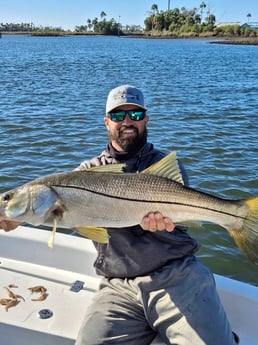 Mahi Mahi Fishing in Crystal River, Florida