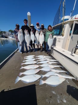 Halibut, Hybrid Striped Bass Fishing in Bodega Bay, California