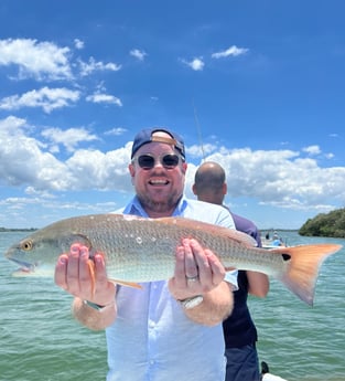 Redfish fishing in Clearwater, Florida