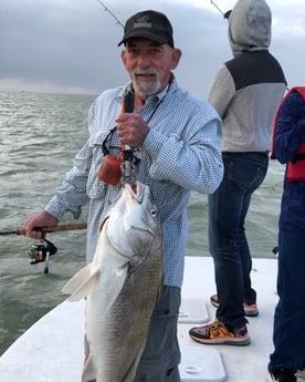 Sheepshead fishing in Corpus Christi, Texas