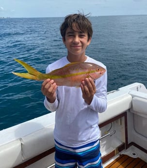 Yellowtail Snapper fishing in Galveston, Texas