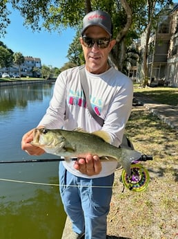 Largemouth Bass Fishing in Jupiter, Florida