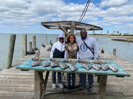 Sheepshead fishing in Galveston, Texas