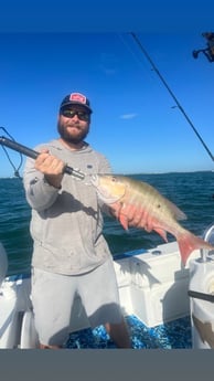 Fishing in Tavernier, Florida