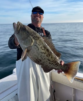 Gag Grouper fishing in Clearwater, Florida