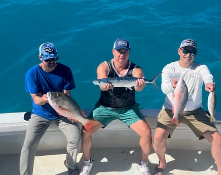 Mutton Snapper, Yellowtail Snapper Fishing in Islamorada, Florida