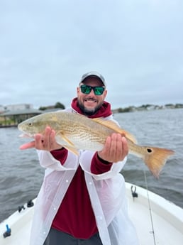 Redfish Fishing in Galveston, Texas