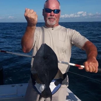 Triggerfish Fishing in Destin, Florida