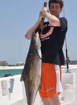 Cobia fishing in Destin, Florida