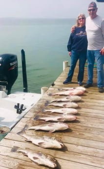 Black Drum fishing in South Padre Island, Texas