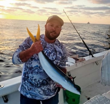 Yellowtail Amberjack Fishing in Gulf Shores, Alabama