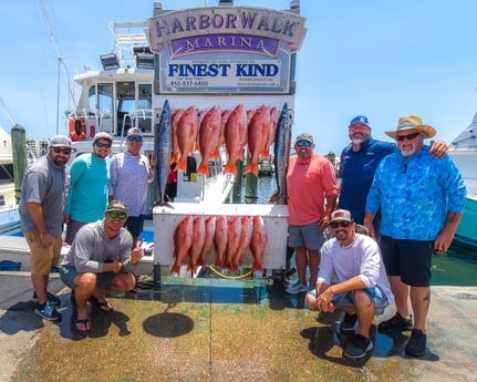 Black Grouper, Red Grouper, Red Snapper fishing in Destin, Florida