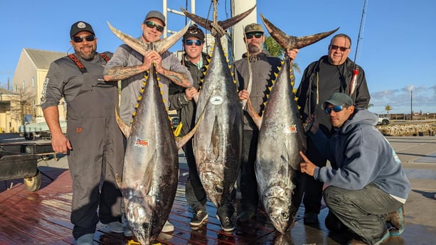 Yellowfin Tuna Fishing in Boothville-Venice, Louisiana