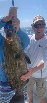 Black Grouper fishing in Islamorada, Florida