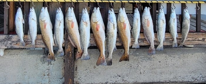 Redfish, Speckled Trout / Spotted Seatrout fishing in Aransas Pass, Texas