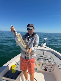 Fishing in Sarasota, Florida