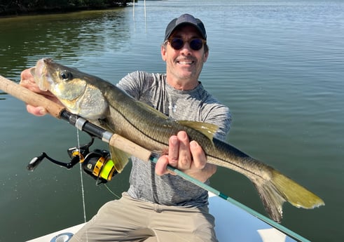 Snook Fishing in Tampa, Florida