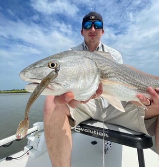 Redfish Fishing in Islamorada, FL, USA