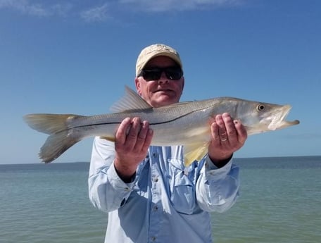 Snook Fishing in Islamorada, Florida