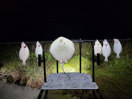 Flounder, Stingray Fishing in Rio Hondo, Texas