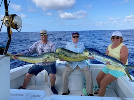 Mahi Mahi / Dorado fishing in Marathon, Florida