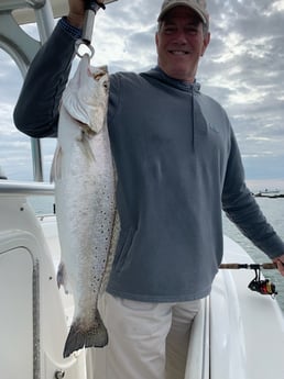 Speckled Trout / Spotted Seatrout fishing in Galveston, Texas