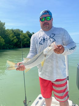 Snook fishing in Key Largo, Florida